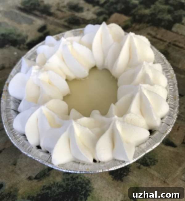 Miniature Key Lime Pies