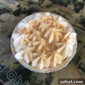 Miniature Key Lime Pies