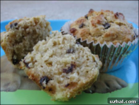 Oatmeal Chocolate Chip Muffins with Agave Nectar