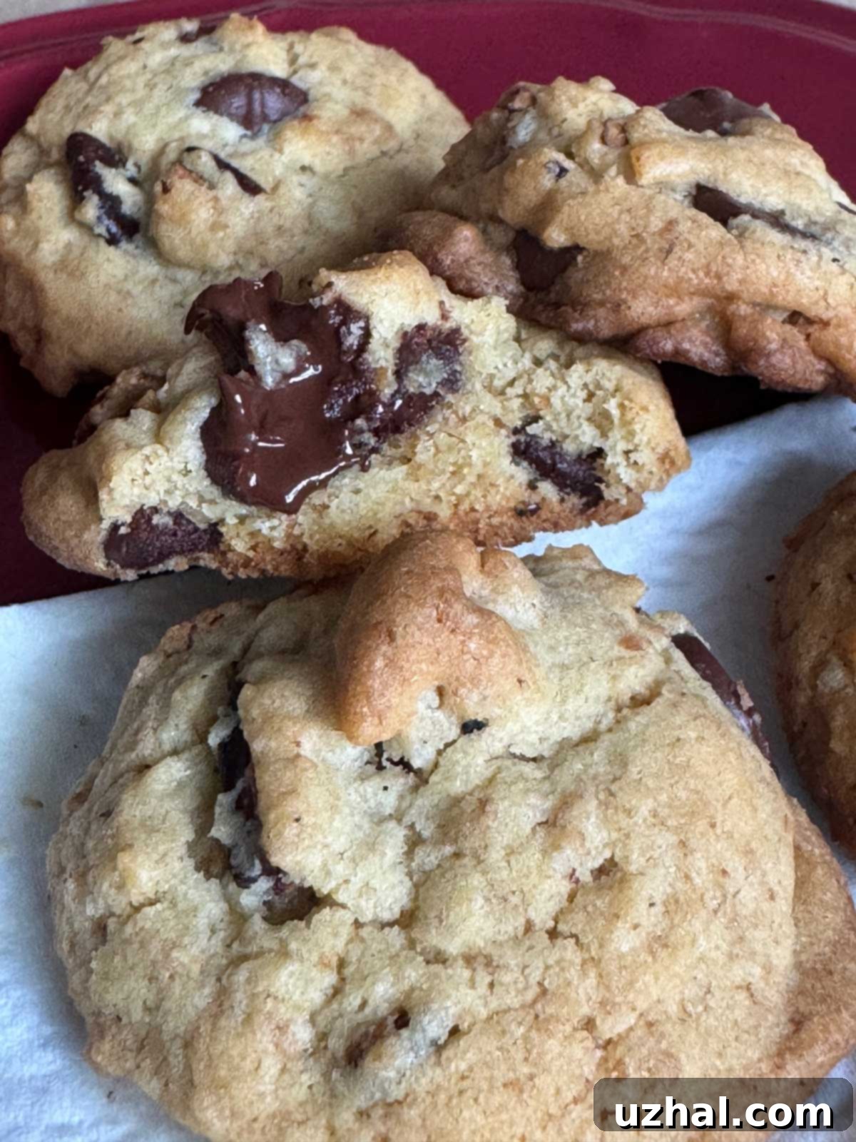 Whole Wheat Chocolate Chunk Cookies made with a mix of butter and oil, with melted chocolate and walnuts.