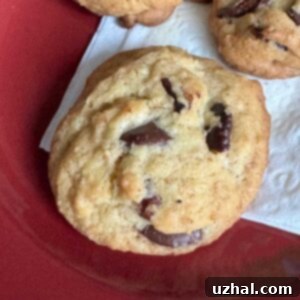 whole wheat chocolate chunk cookies with walnuts.