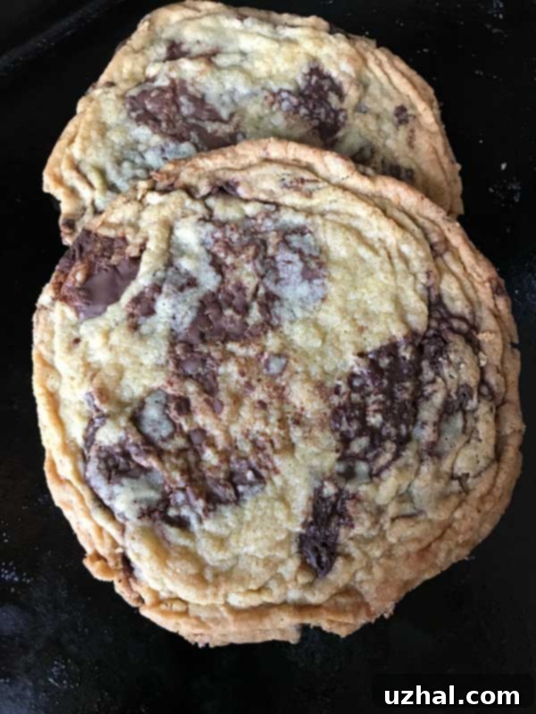 Giant Crinkled Chocolate Chip Cookies with rich chocolate shards