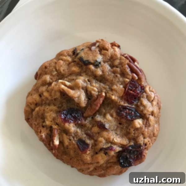 Deliciously thick and chewy oatmeal cookies cooling on a rack, showcasing their texture and size, ideal for bake sales or a satisfying snack.