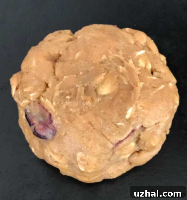 Freshly baked chewy oatmeal cookies neatly packaged in cookie sleeves, ready for a bake sale or gifting.