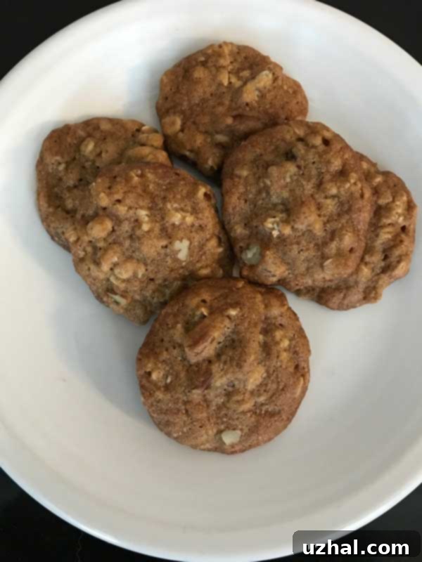 Close-up of a single big chewy oatmeal cookie, revealing its textured surface and inviting warmth, garnished with nuts and dried fruit.