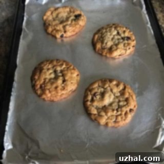 chewy oatmeal cookies