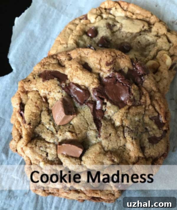 Deliciously flat and chewy chocolate chunk cookies, freshly baked