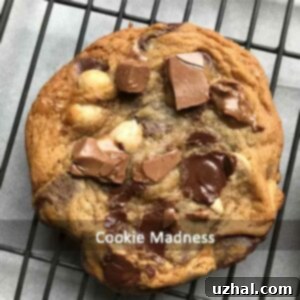 Big Flat Chewy Chocolate Chunk Cookies, a perfect dessert