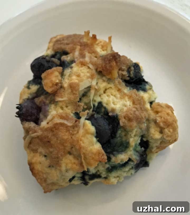 A perfectly baked Streusel Scone with a golden crumb topping.