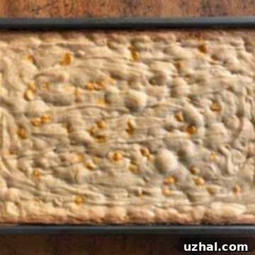 Nestle Toll House Pumpkin Spice Blondie Cookie Bars