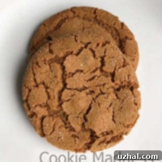 Canola oil ginger cookies, a delectable treat with crispy edges and chewy centers, captured in a warm, inviting light.