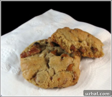 Cinnamon Chip Pecan Cookies, golden brown with visible cinnamon chips and pecans.