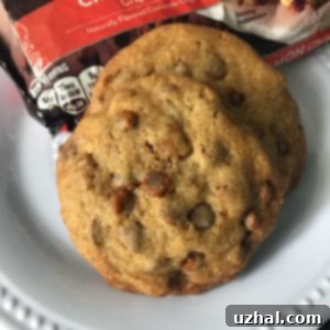 Cinnamon Chip Pecan Cookies