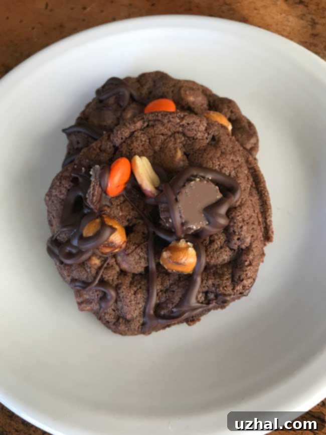 Chewy double chocolate cookies made with Reese's Snack Mix, drizzled with melted chocolate, showcasing the delicious texture and toppings.