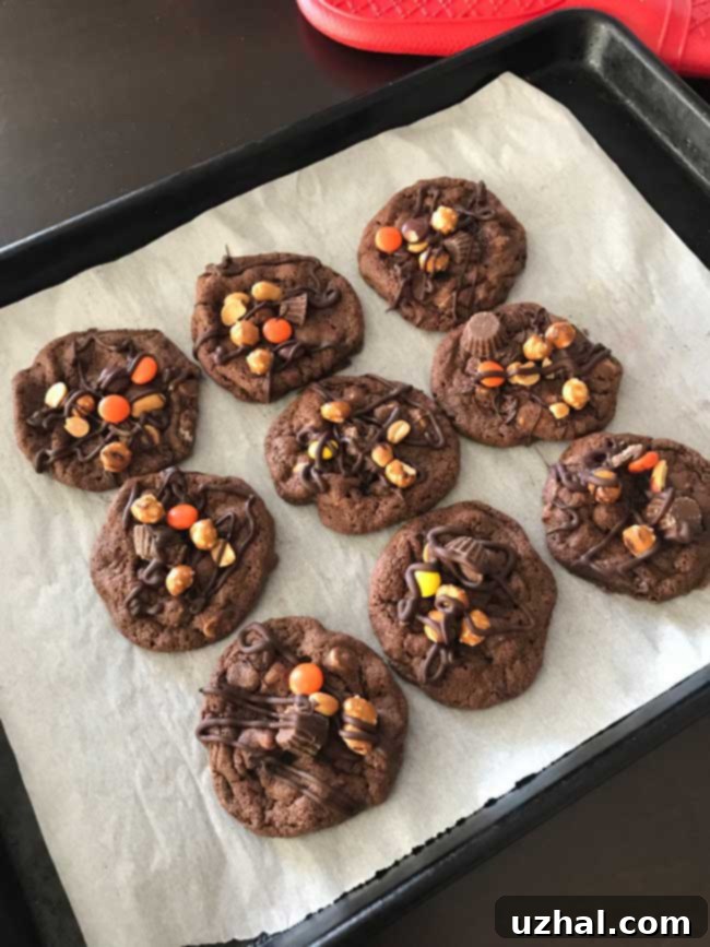 3D Chewy Chocolate Cookies topped with melted chocolate and Reese's Snack Mix, showcasing intricate details and appealing presentation.