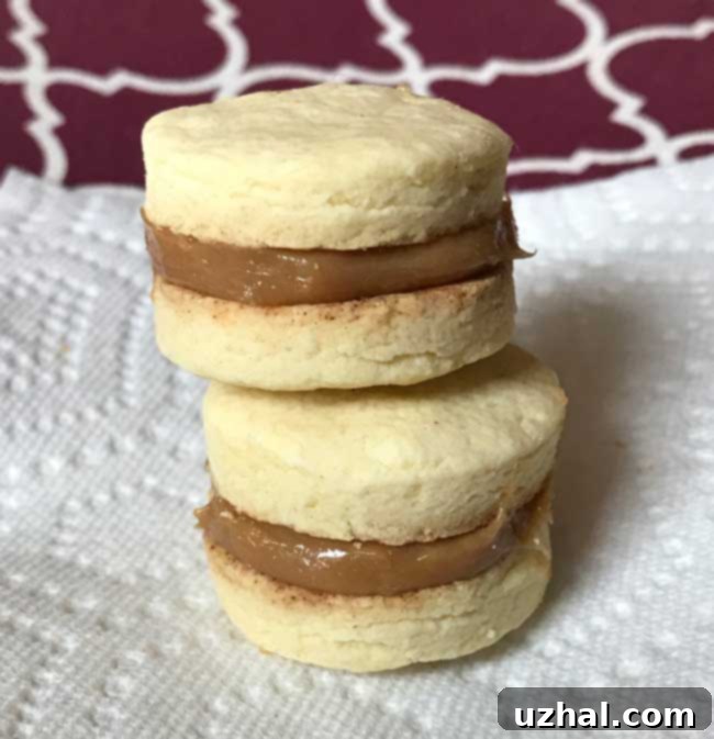 Alfajores - Baked cookie halves ready for filling