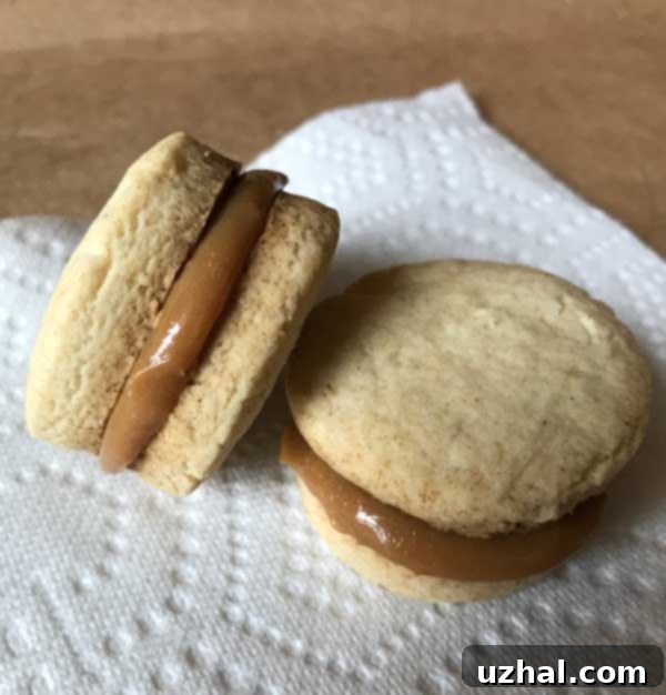 Alfajores - A selection of various cookie styles