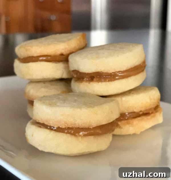 Alfajores - Assortment of classic sandwich cookies