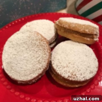 Alfajores - Golden sandwich cookies