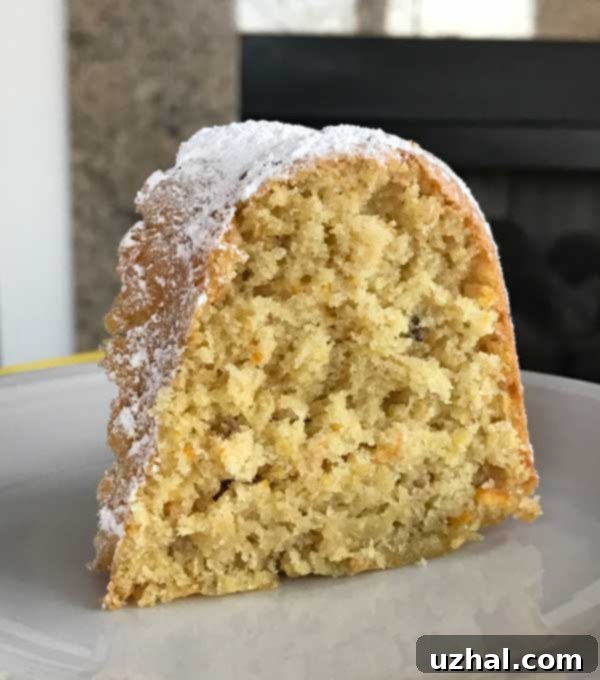Tunisian Orange Olive Oil Cake with powdered sugar