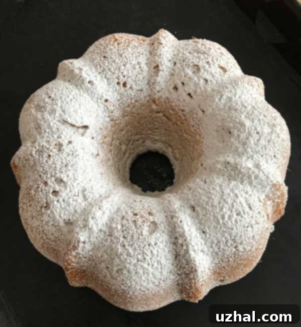Close up of Zingerman's Orange Olive Oil Cake texture