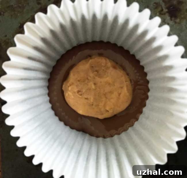 Close-up of a batch of homemade peanut butter cups showing their neat, uniform shape and shiny chocolate coating.