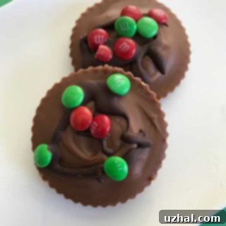 A close-up of a homemade peanut butter cup, showcasing its layers of chocolate and creamy peanut butter filling.