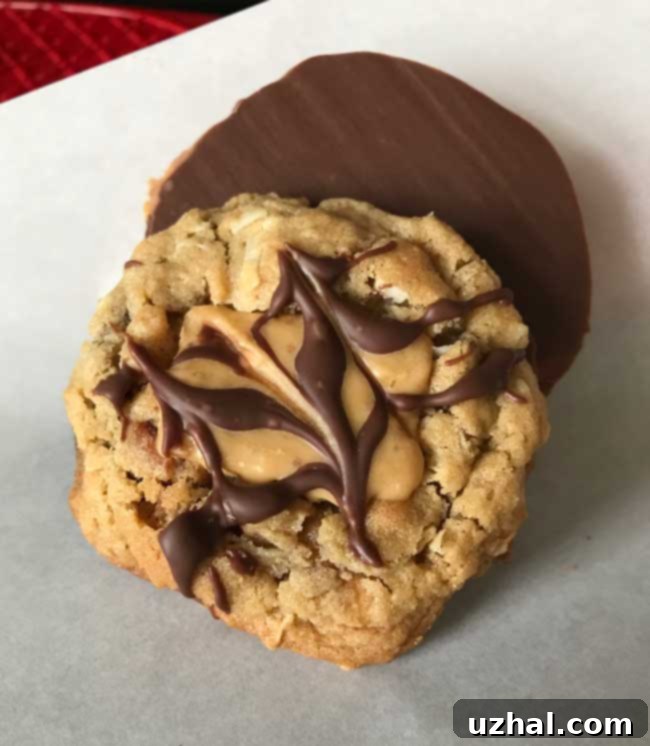 Close-up of a warm cookie with melted Hershey's Gold and chocolate drizzle