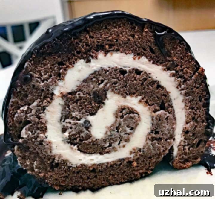 Hot Cocoa Cake Roll
