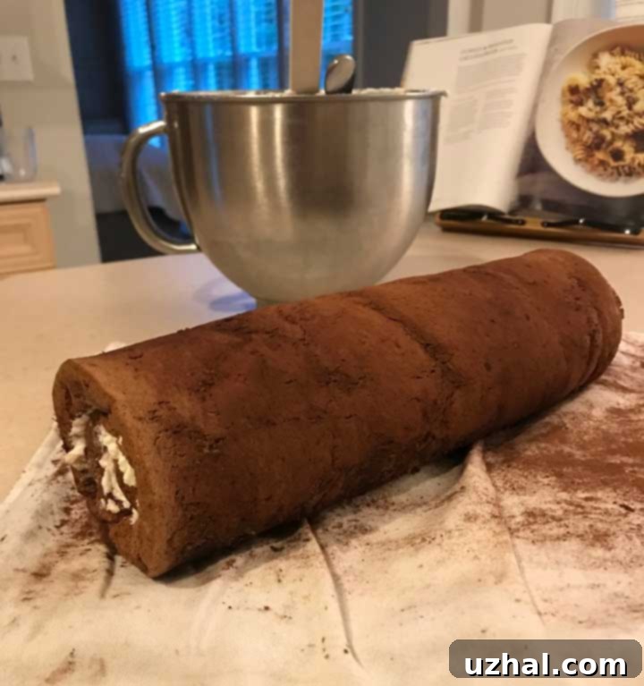 Hot Cocoa Cake Roll