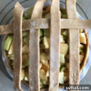 whole wheat pie crust for hand pies