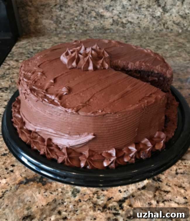 Close-up of a slice of Sandy's Chocolate Cake, showing its moist layers and creamy frosting