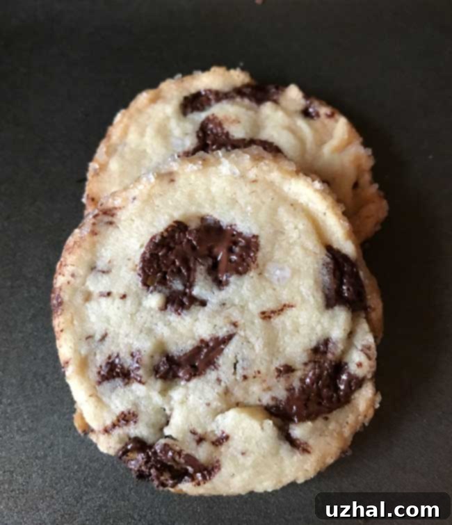 Perfectly baked Alison Roman Chocolate Chunk Shortbread Cookies with visible chocolate chunks
