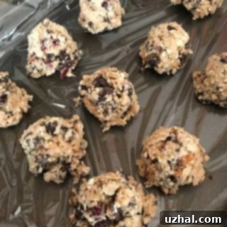Orange Cranberry Cashew Chocolate Coma Cookies