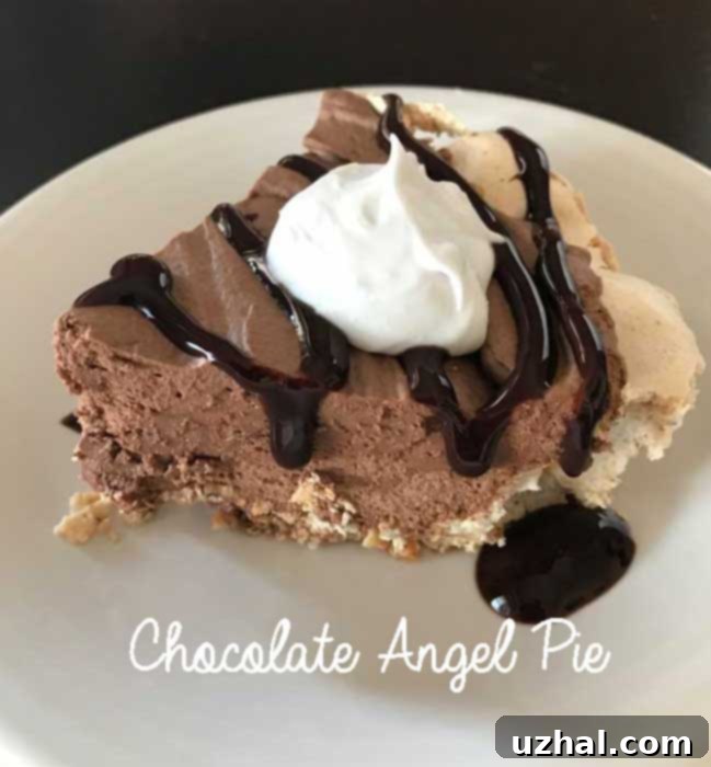Chocolate Angel Pie with a whipped egg white meringue crust, garnished with chocolate shavings.