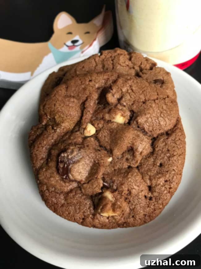 chocolate malted hazelnut cookies with crispy edges and visible chocolate chips and hazelnuts