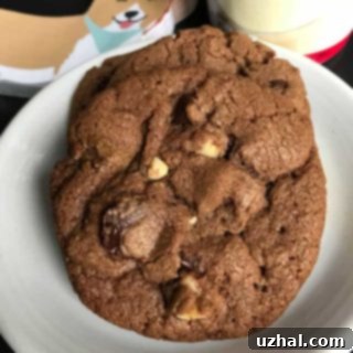 Malty Chocolate Hazelnut Delights 3 malted nutella cookies with chocolate chips