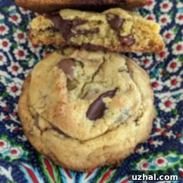 One Egg Yolk Chocolate Chip Cookie - Close-up