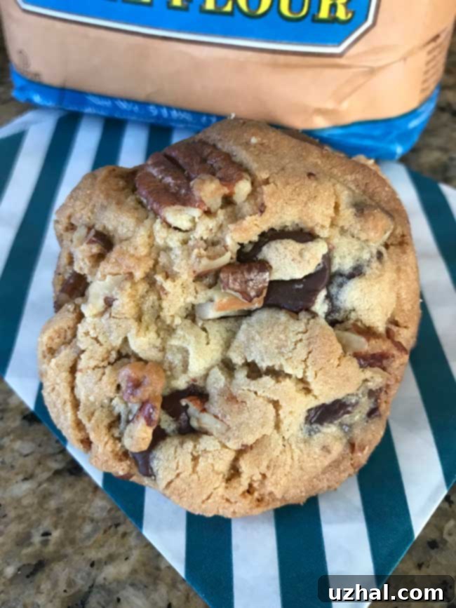 Picture of a crinkly, crumbly chocolate chip cookie made with browned butter and molasses.