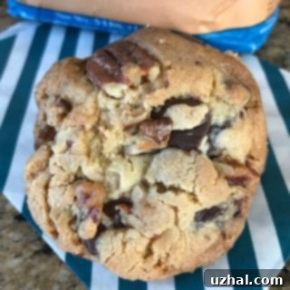 all around chocolate chip