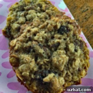 Thin Oatmeal Cookie