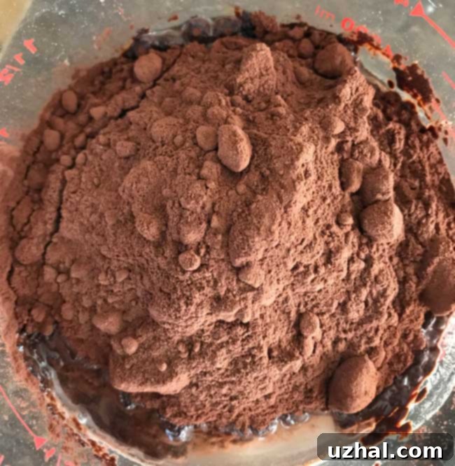 Guittard Cocoa Rouge powder on its own