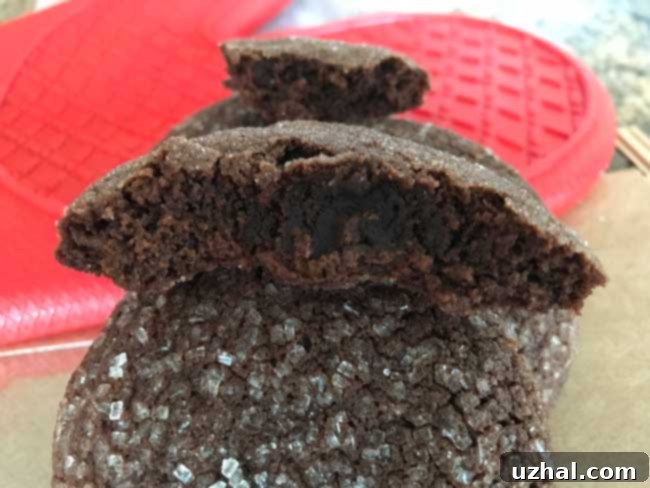 Irresistible Chocolate Sugar Cookies with a crackled top