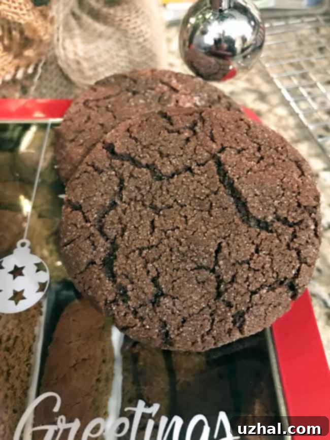 Close-up of crackled Chocolate Sugar Cookies