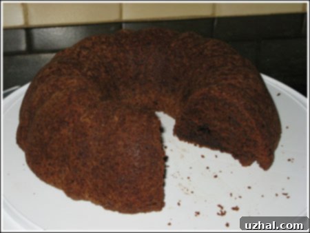 A perfectly portioned slice of Red Wine Chocolate Bundt Cake, showcasing its moist texture