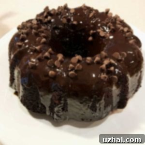 Rich Red Wine Chocolate Bundt Cake, perfect for any occasion