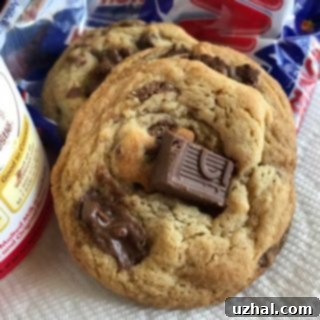 Malted Milk Chocolate Chunk Cookies - A single, perfectly round cookie with visible milk chocolate chunks.