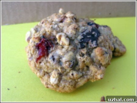 loaded1 Loaded Oatmeal Cookie