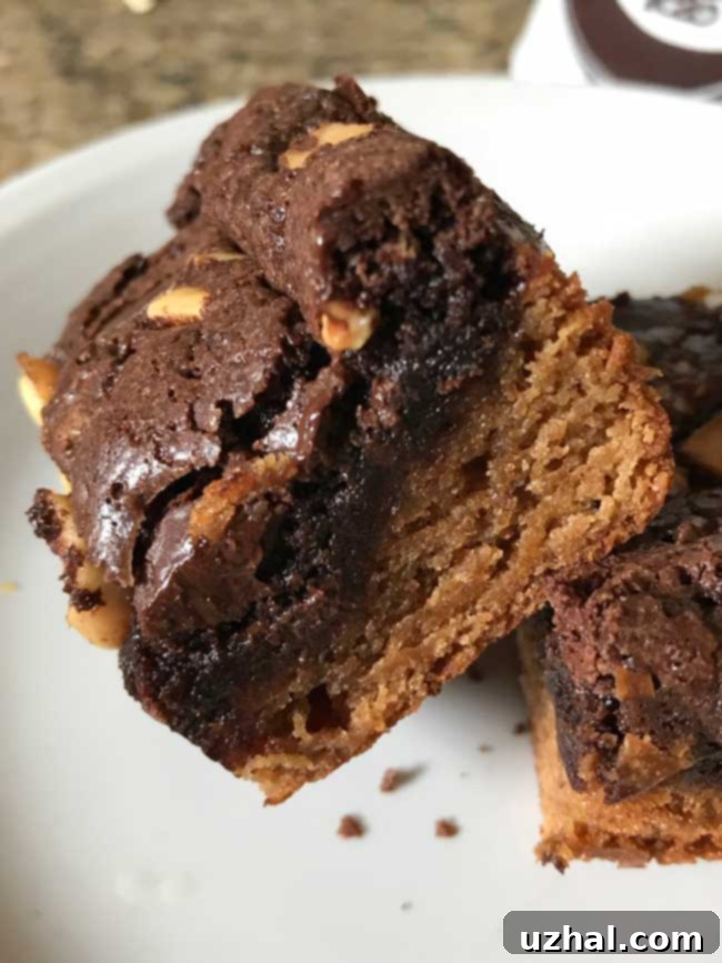 Double Decker Peanut Butter Brownies