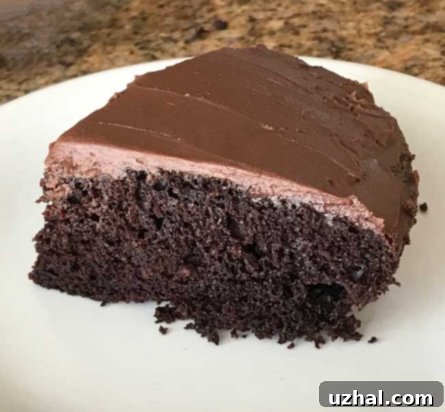 Six Inch Cast Iron Skillet Chocolate Cake sliced